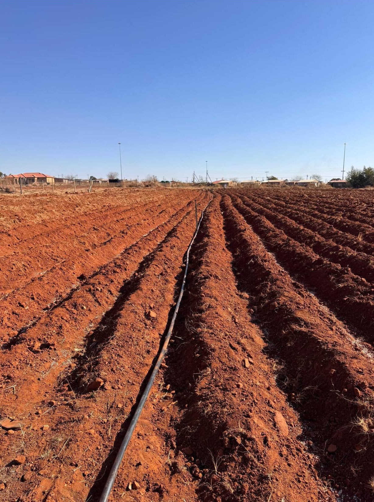 whatsapp image 2025 08 20 at 15.06.15